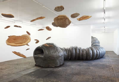 Tennesse wiggler the big fat worm aka le lombric cosmique - KLAT